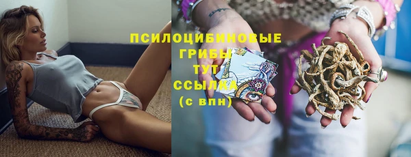 соль курить ск Горняк