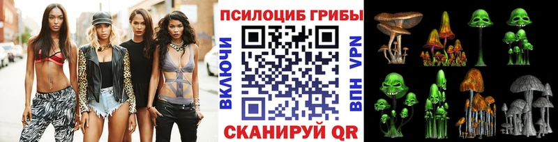 как найти Железноводск Псилоцибиновые грибы MAGIC MUSHROOMS